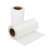 Rollos de Película de Transferencia de Calor DTF, Hojas de Etiquetas Autoadhesivas Imprimibles, Removibles y Reutilizables en Tamaños A3 y A4