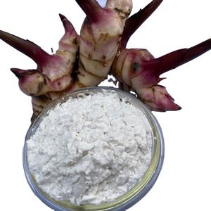 Almidón de arrowroot de la mejor calidad, harina en polvo blanco, tipo nativo de Vietnam. - Product Image 1