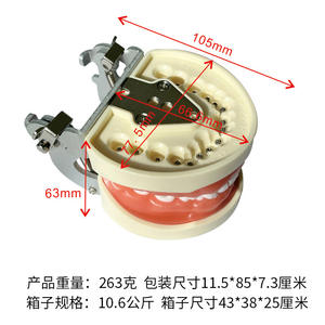 Modèle dentaire en résine détachable à 32 dents pour l'enseignement de la cavité buccale, équipement et accessoire de préparation - Product Image 4