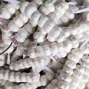 Venta al por mayor de ajo blanco orgánico de China, precio de fábrica, pelado, exportación, ajo al vapor y procesado BQF - Product Image 3