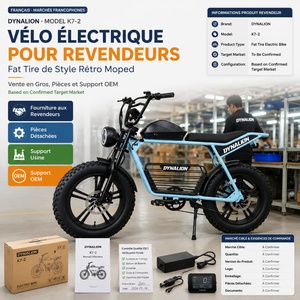 Vélo Électrique pour Distributeurs – Style Rétro Moped à Pneus Larges avec Porte-Bagages Arrière et Batterie Amovible – Fournisseur OEM en Gros - Product Image 1