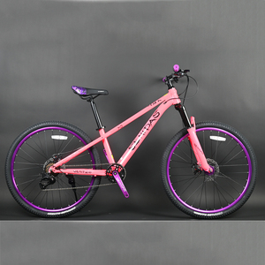 Mountain Bike da Discesa di Alta Qualità da 27.5 Pollici, Speciale Bici Cinese MTB con Forcella in Acciaio e Sistema Frenante a Disco - Product Image 2