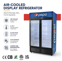 Congélateur vertical commercial à double porte vitrée, refroidissement par compresseur, -24 degrés, sans givre, en acier inoxydable, grande capacité, vitrine
