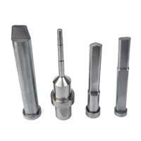 Poinçon composite usiné CNC SPAL APJAL SJAL11, tête de poinçon de forme spéciale, poinçon dénudeur personnalisé pour matrice de poinçonnage progressif