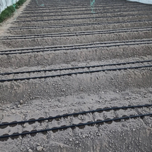 สายพานให้น้ำหยดระบบชลประทานพลาสติก PE แบบหยดสำหรับการเกษตร - Product Image 5