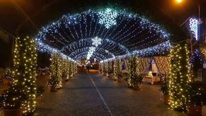 2D 3D Outdoor IP65 Iron Baking Paint Snowflake Street Motif Festive Decorative Lights Warm White Snowflake Motif Lights - Product Image 2