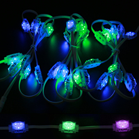 Guirlande lumineuse LED à pixels adressables RVBWW pleine couleur pour système de piste extérieure permanente, idéale pour les décorations paysagères et les fêtes.