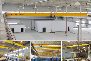 <span class=keywords><strong>Grue</strong></span> à poutre simple HD de qualité supérieure, capacité de 1T à 20T |   Moteurs VVF Drive & TEFC |   Pour les usines à faible et moyenne intensité d'activité - Product Image 3