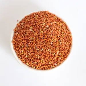 Millet rouge gluant de qualité alimentaire de balai de maïs Millet Proso pour gâteau de riz