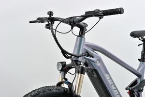 Bicicleta Eléctrica de Montañ<span class=keywords><strong>a</strong></span> Modelo Nuevo con Autonomí<span class=keywords><strong>a</strong></span> de <span class=keywords><strong>75</strong></span>-80 <span class=keywords><strong>Millas</strong></span>, 10 Velocidades, 250W, 48v, Baterí<span class=keywords><strong>a</strong></span> de Litio de 16ah, Cuadro de Aleación de Aluminio, Motor Central - Product Image 4