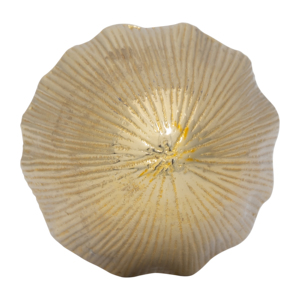 Scultura di funghi in legno e metallo per decorazioni per la casa, bagno, ufficio, soggiorno, arte moderna. - Product Image 4