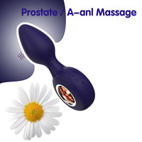 Vente en gros de plug anal électrique étanche IPX6 en silicone + ABS, masseur de prostate, vibrateur pour adultes, plug anal