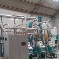 Moulin à farine de maïs populaire 20T/24H pour le marché du Kenya