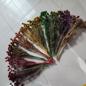 Venta caliente Immortal Pristimera Follaje Molino de viento Fruta Scabiosa Conservado para bodas Día de San Valentín Día de la madre - Product Image 6