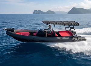 Hedia - <span class=keywords><strong>Barco</strong></span> de Pasajeros de Alta Calidad, 32 Pies, 9.<span class=keywords><strong>6</strong></span> <span class=keywords><strong>Metros</strong></span>, 10 <span class=keywords><strong>Metros</strong></span>, Yate de Lujo Orca Hypalon Rib Cruiser con Cabina 960 - Product Image 2