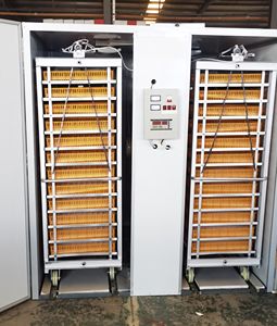 Baojieyuan Incubadoras de <span class=keywords><strong>huevos</strong></span> de gallina: Incubadoras automáticas de <span class=keywords><strong>huevos</strong></span> de gallina de <span class=keywords><strong>Guinea</strong></span> - Product Image 1