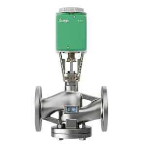 Vanne de régulation de température de vapeur à pression différentielle constante motorisée - Product Image 4