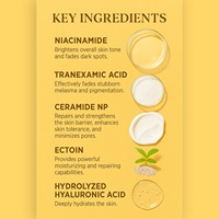 Crème Visage Bio à la Niacinamide Marque Blanche Éclaircissante Hydratante Traitement Anti-Taches pour Peaux Foncées Fabricant