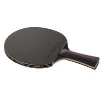 Raquette Double Face de Tennis de Table, réglable, à manches courtes, Ping-Pong, raquette