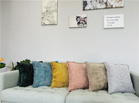 Housse de coussin en chenille épaisse et douillette, vente en gros, personnalisable, pour canapé, taie d'oreiller de luxe, housse de coussin en chenille