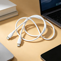 Kabel pengisian daya dan transfer data USB-A ke Type-C micro fruit berkualitas tinggi harga terjangkau dari pabrik OEM 100CM untuk adaptor charger