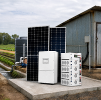 40KW Sistem Penyimpanan Energi Surya PV Baterai Lithium MPPT IP65 On/Off Grid Komersial Industri untuk Pabrik