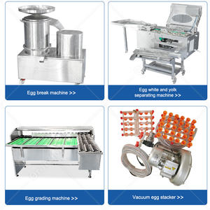 Trieuse mécanique d'œufs ORME, petite machine de triage et de calibrage des œufs de poule - Product Image 6