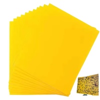 Pièges à mouches en gel jetables en gros, pièges collants jaunes pour insectes, capacité de 250-750 ml, 480 heures d'utilisation pour pelouse et jardin