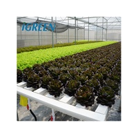 Système d'hydroponie NFT commercial