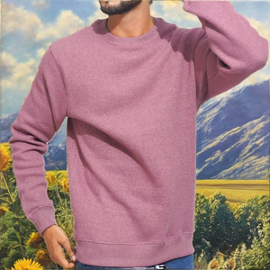 Sweat-shirt à capuche multifonctionnel pour homme, couleur unie, coupe classique, 410 grammes, 100% coton, anti-rides, avec poche, pour l'automne - Product Image 2