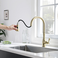Robinet de Design moderne en or Rose brossé de haute qualité pour évier mitigeur d'eau chaude et froide évier robinet de cuisine à tirette