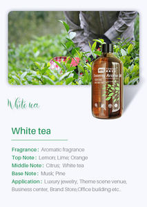 Huile essentielle de luxe pour diffuseur <span class=keywords><strong>parfum</strong></span> d'hôtel huile <span class=keywords><strong>parfum</strong></span> longue durée arabe huiles essentielles personnalisées - Product Image 4