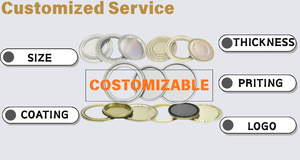 Bidons en tôle non rechargeables pour produits chimiques, avec bouchon à clapet, diamètre du fond de <span class=keywords><strong>103</strong></span> mm, gris, pour peinture métallique, avec couvercle de revêtement - Product Image 6