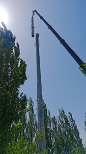 Однополюсная телекоммуникационная монопольная вышка для передачи беспроводных сигналов - Product Image 5