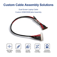 Maßgefertigtes 30-Pin 0,5mm Pitch LVDS-Kabel 40AWG Mikro-Koaxial & 34AWG Kabelbaum für Dual-Screen Laptop-Displays