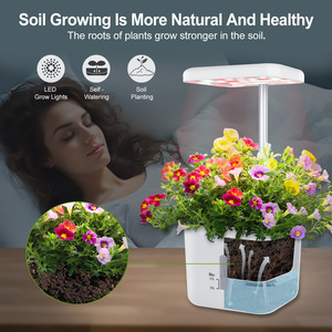 Mini maceta hidropónica de fábrica <span class=keywords><strong>con</strong></span> <span class=keywords><strong>luz</strong></span> para sistema de jardinería interior hidropónico para cultivar Kit de siembra inteligente para el hogar - Product Image 4