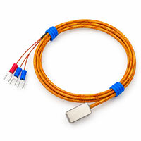 Sonde de température Pt100 à adsorption magnétique, tête de détection de surface, type patch d'aspiration, OEM, indice de protection IP65, garantie 1 an