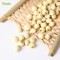 Graine de Lotus séchée naturelle de haute qualité 100% Lian Zi graine de Lotus pelée comestible pour la cuisine de Dessert de collation alimentaire