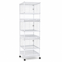 Nouvelle Cage à Oiseaux 2026 de Style Moderne, en Acier Inoxydable et Verre, Motif Solide, Robuste et Durable, pour Perruches et Petits Oiseaux – Qualité Supérieure, Vente Chaude