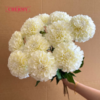 Bunga Dahlia Buatan Putih DC193 Tangkai Tunggal Sentuhan Realistis Pompon Dahlia untuk Buket Pernikahan, Vas, dan Rangkaian Bunga
