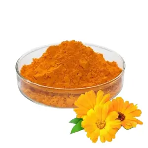 Wholesale Natural Powder Marigold Flower Extract Lutein/xanthophylls