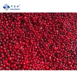 Sinocharm HACCP Organic Wild 95% rosso prezzo all'ingrosso 10kg Bulk IQF Frozen Lingonberry