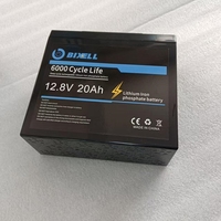 Batterie au lithium LiFePO4 rechargeable à décharge profonde 12,8 V 10 Ah 12 Ah 15 Ah 20 Ah, 4000 cycles, pour solaire, vidéosurveillance, IoT, agriculture