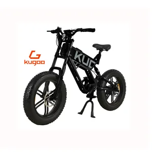 Stock DE LA UE E Bikes 2024 750W Batería extraíble 20*4 PULGADAS Neumático Precio de bicicleta eléctrica Bicicleta eléctrica