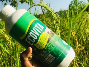 Fertilizante Líquido Mineral EcoVita Organa0 de Primera Calidad para Mejorar la Salud del Suelo y Aumentar el Rendimiento de los Cultivos - Product Image 6