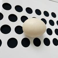 Système de cages à poules pondeuses de type H avec bande transporteuse à œufs en PP perforé respirant pour un transport fluide des œufs et une collecte automatique