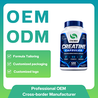 Kapsul Creatine Grosir untuk Meningkatkan Performa dan Kekuatan Otot Produsen Kapsul Creatine Label Pribadi