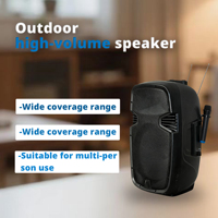 Système de sonorisation professionnel de précision, amplificateur D, haut-parleur 15 pouces, haut-parleur actif rechargeable en plastique avec microphone sans fil