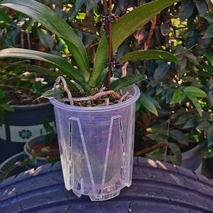Nouveau Pot d'orchidée en plastique Transparent Pot de semis d'orchidée Pot de contrôle des racines Évents d'aération à fente latérale Trou de drainage inférieur Jardin - Product Image 6
