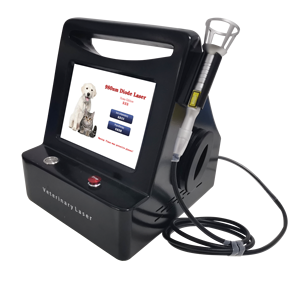Nouveau <span class=keywords><strong>laser</strong></span> à diode 980nm 15 W thérapie physique vétérinaire pour animaux soulagement de la douleur et stérilisation et machine anti-inflammatoire - Product Image 4